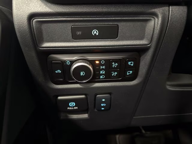 2025 Agate Black Metallic Ford F-150 Tremor 4X4 Truck