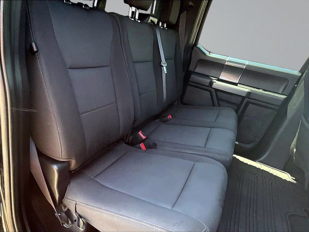 2019 Agate Black Metallic Ford F-150 XLT 4X4 Truck