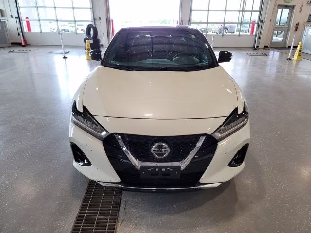 2019 Pearl White Tricoat Nissan Maxima Platinum FWD Sedan