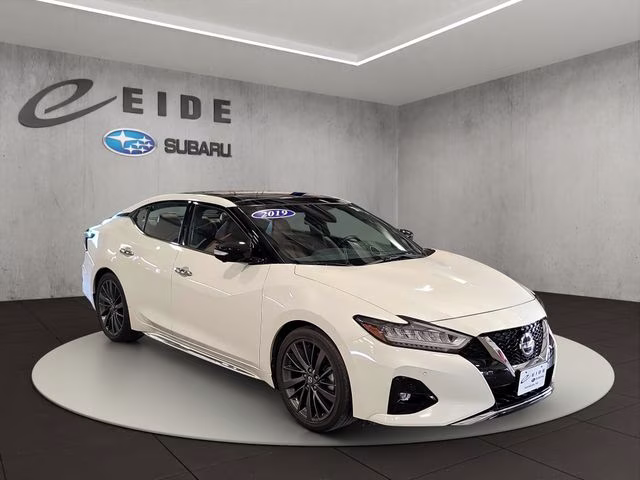 2019 Pearl White Tricoat Nissan Maxima Platinum FWD Sedan