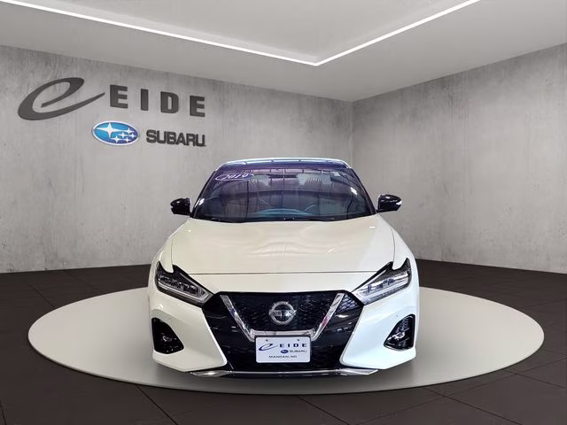 2019 Pearl White Tricoat Nissan Maxima Platinum FWD Sedan