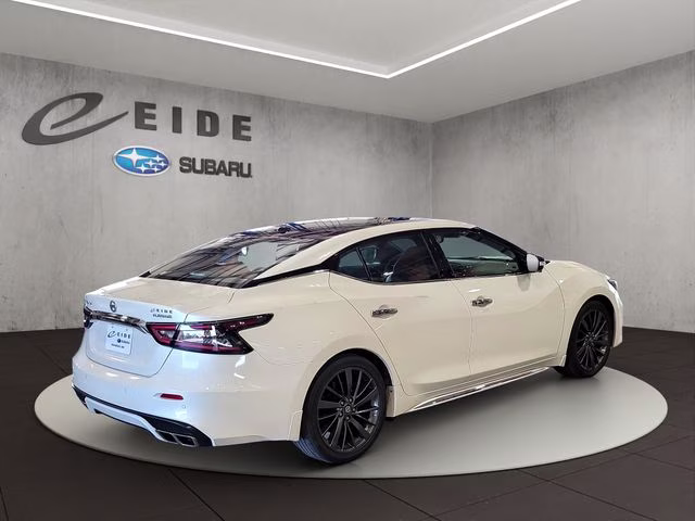 2019 Pearl White Tricoat Nissan Maxima Platinum FWD Sedan
