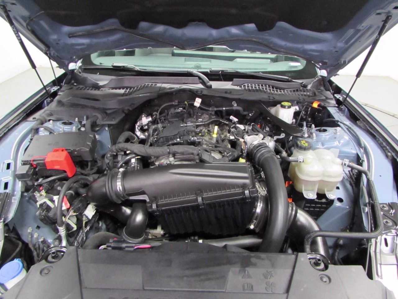 2024 Vapor Blue Metallic Ford Mustang EcoBoost Premium RWD Convertible