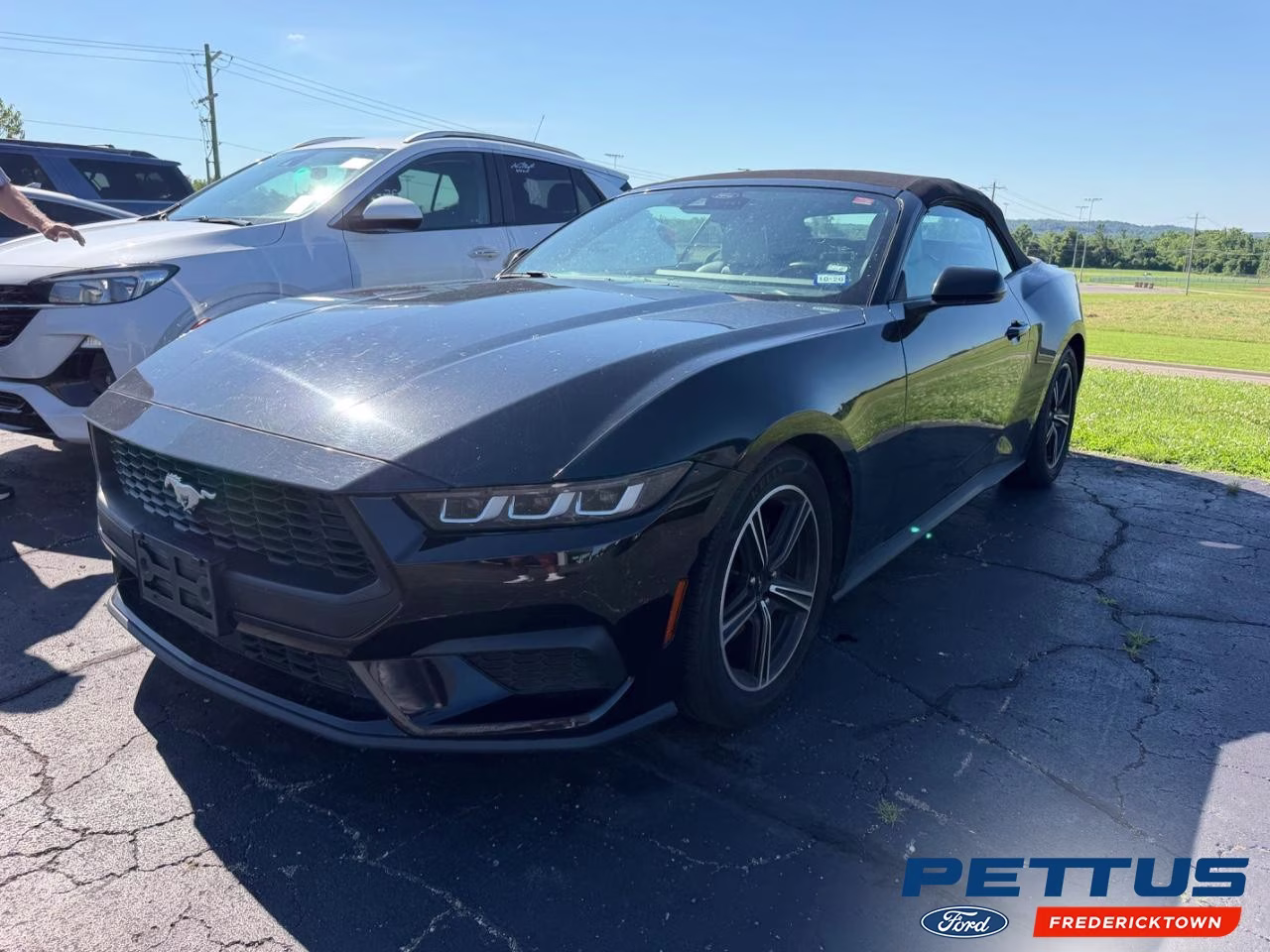 2024 Shadow Black Ford Mustang EcoBoost Convertible RWD Convertible