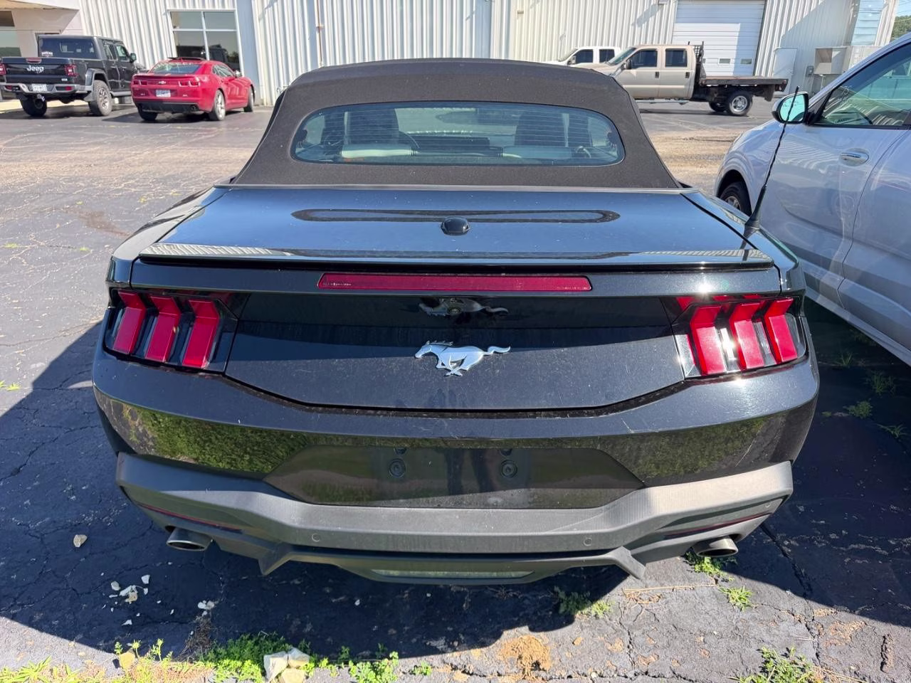 2024 Shadow Black Ford Mustang EcoBoost Convertible RWD Convertible
