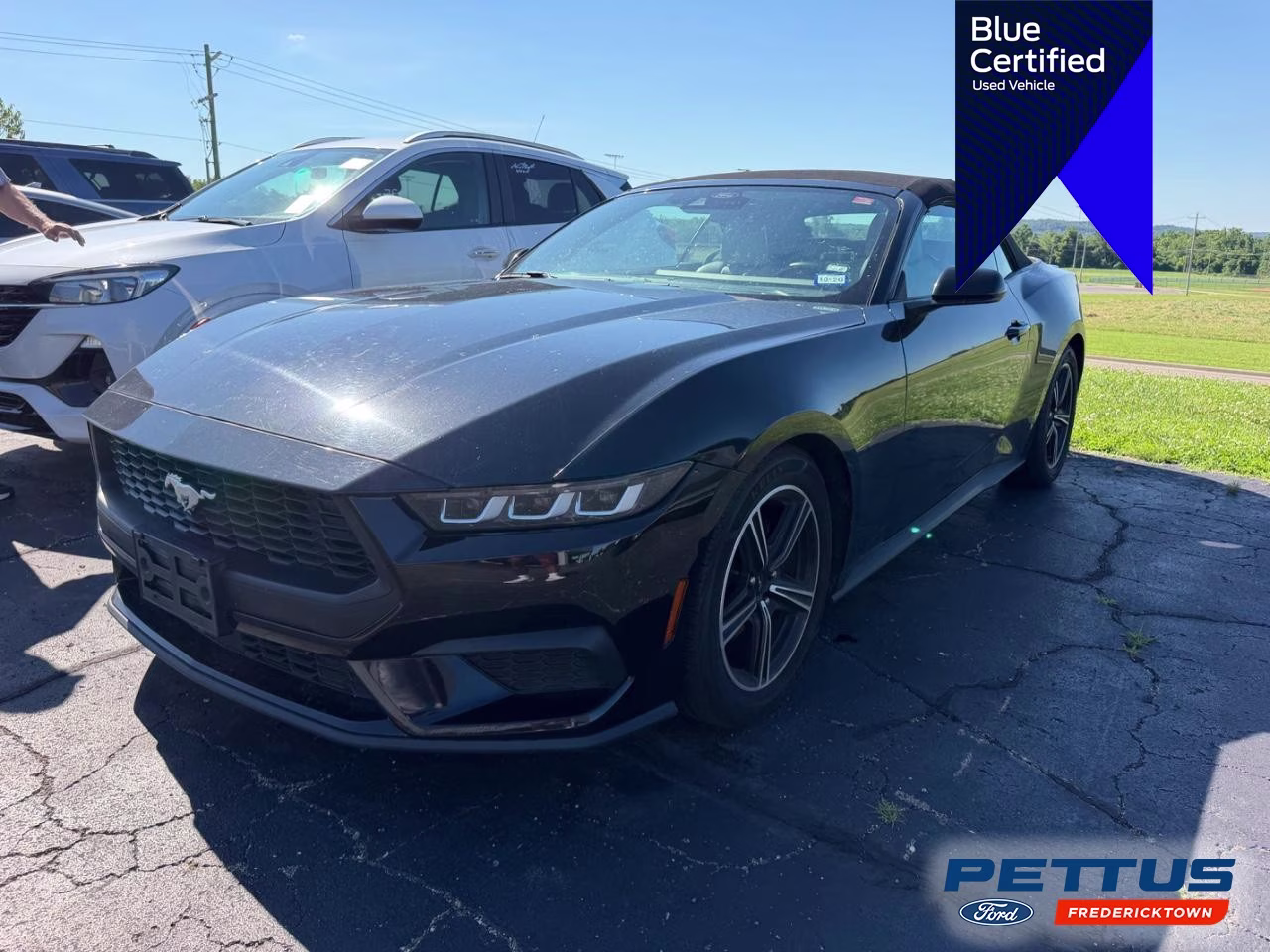 2024 Shadow Black Ford Mustang EcoBoost Premium RWD Convertible