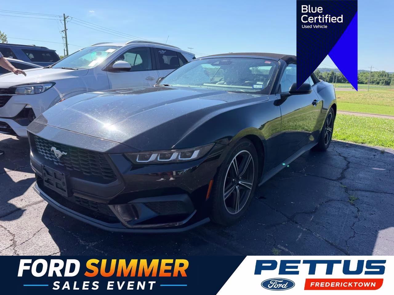 2024 Shadow Black Ford Mustang EcoBoost Premium RWD Convertible