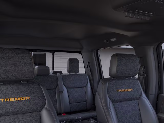 2026 Agate Black Metallic Ford F-150 Tremor 4X4 Truck