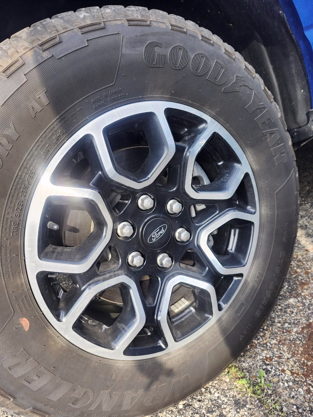 2023 Atlas Blue Ford F-150 XL 4X4 Truck