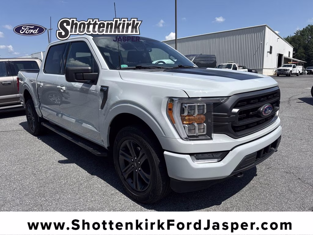 2023 Avalanche Ford F-150 XLT 4X4 Truck