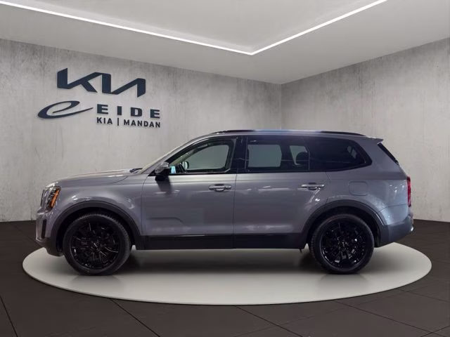 2022 Everlasting Silver Kia Telluride SX AWD SUV