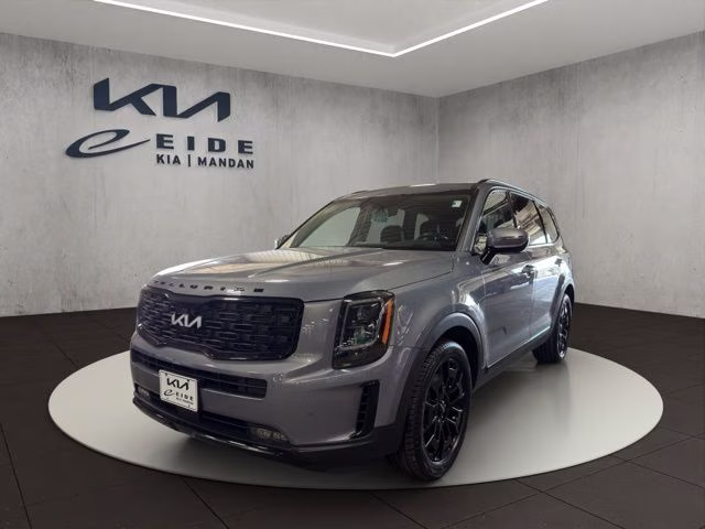 2022 Everlasting Silver Kia Telluride SX AWD SUV