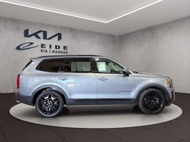 2022 Everlasting Silver Kia Telluride SX AWD SUV