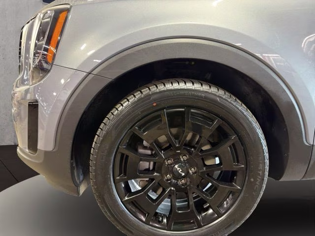 2022 Everlasting Silver Kia Telluride SX AWD SUV