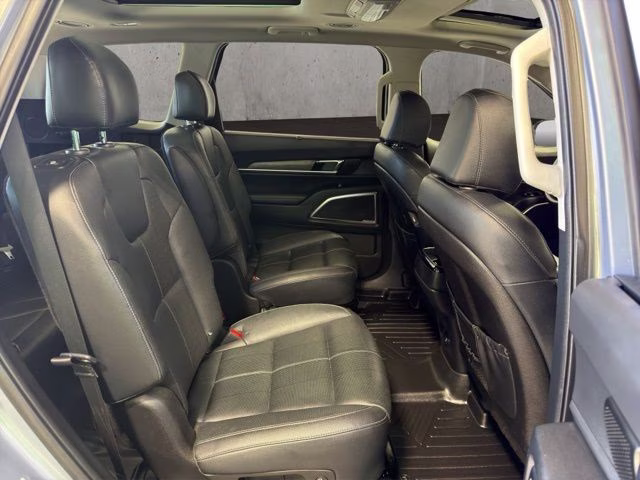 2022 Everlasting Silver Kia Telluride SX AWD SUV