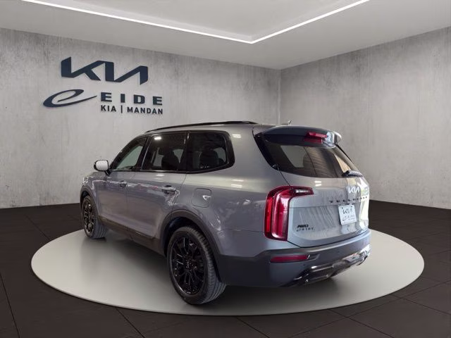 2022 Everlasting Silver Kia Telluride SX AWD SUV