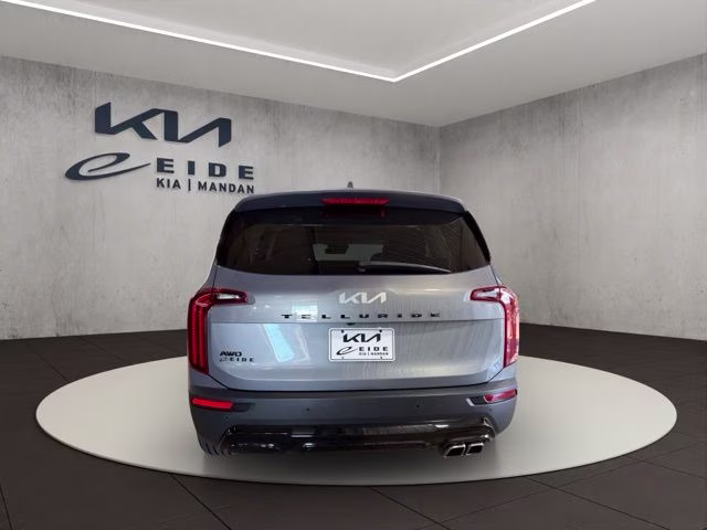 2022 Everlasting Silver Kia Telluride SX AWD SUV