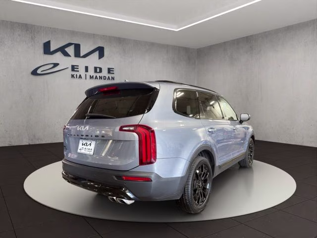 2022 Everlasting Silver Kia Telluride SX AWD SUV