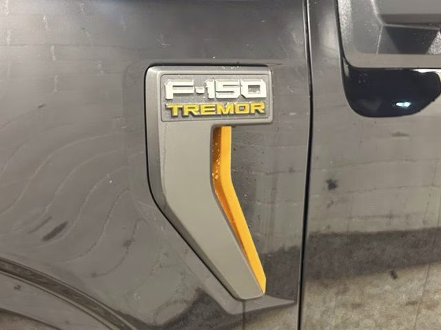 2026 Agate Black Metallic Ford F-150 Tremor 4X4 Truck