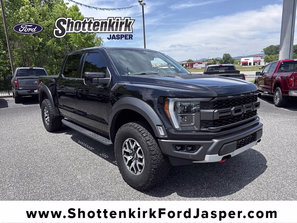 2022 Ford F-150's photo