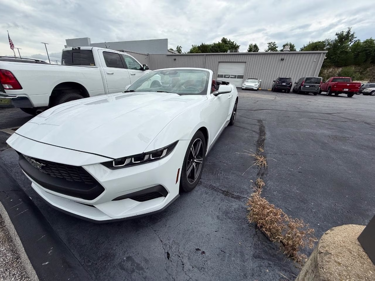 2024 WHITE Ford Mustang EcoBoost Premium RWD Convertible