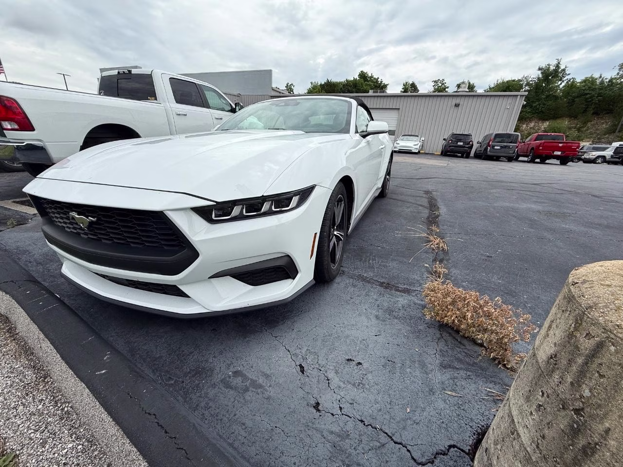 2024 WHITE Ford Mustang EcoBoost Premium RWD Convertible