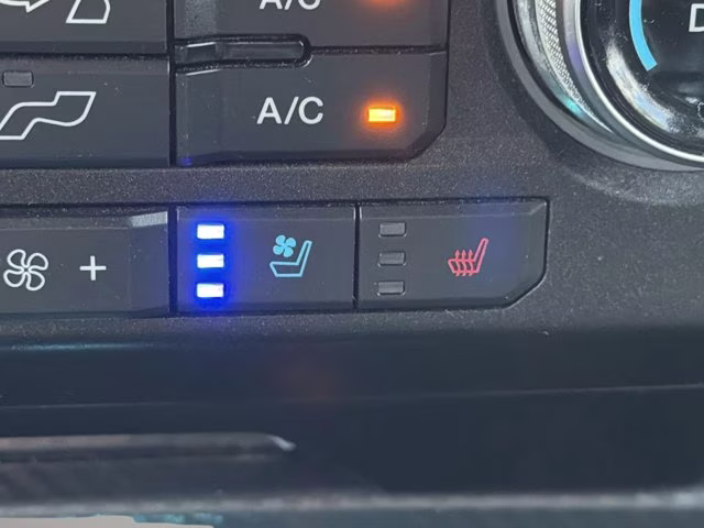 2020 Blue Metallic Ford F-150 Lariat 4X4 Truck
