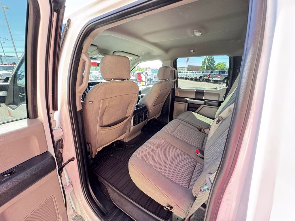 2019 White Ford F-150 XLT 4X4 Truck