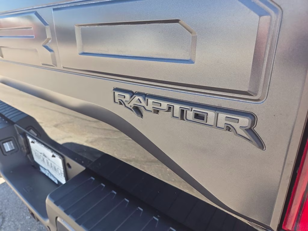 2018 Shadow Black Ford F-150 Raptor 4X4 Truck
