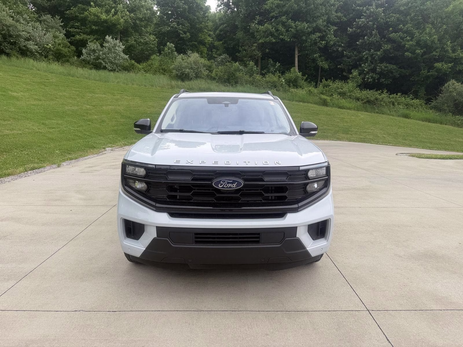 2025 Ford Expedition's photo