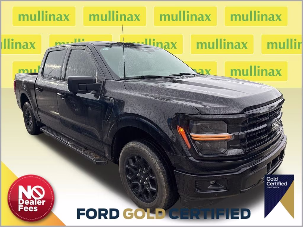 2024 Agate Black Metallic Ford F-150 XLT RWD Truck
