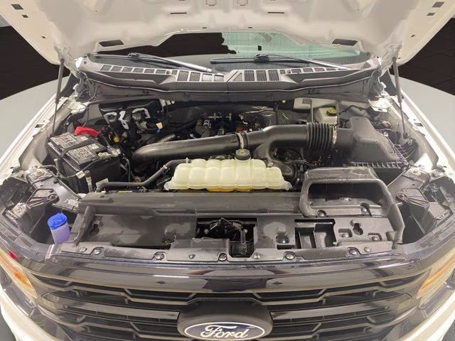 2025 Oxford White Ford F-150 XLT 4X4 Truck