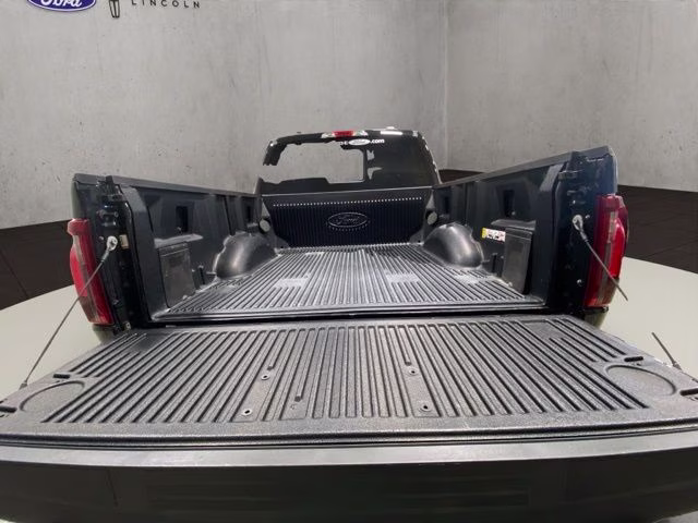 2025 Agate Black Metallic Ford F-150 XLT 4X4 Truck
