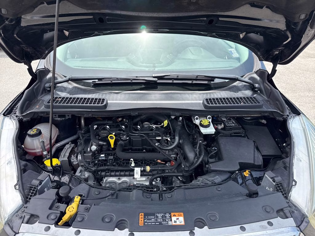 2019 Agate Black Metallic Ford Escape SEL FWD SUV