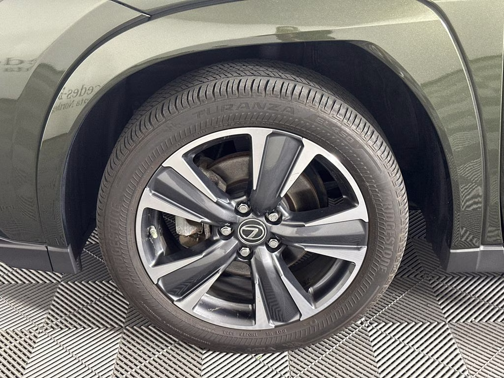 2024 Nori Green Pearl Lexus UX 250h Premium AWD SUV