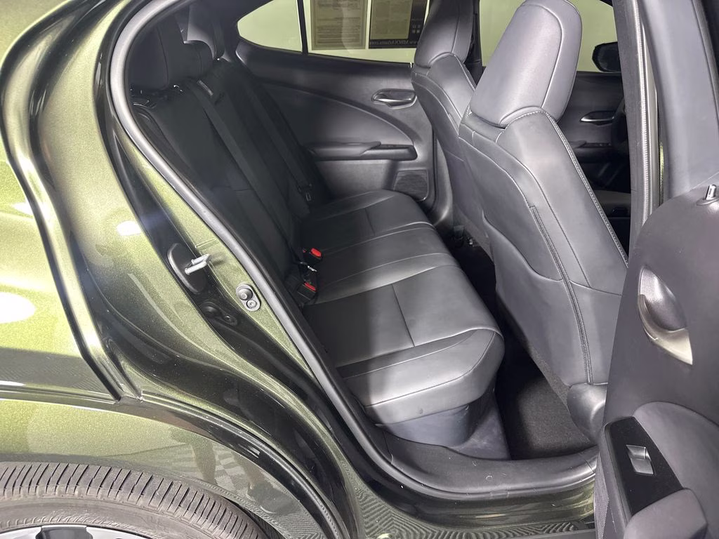 2024 Nori Green Pearl Lexus UX 250h Premium AWD SUV