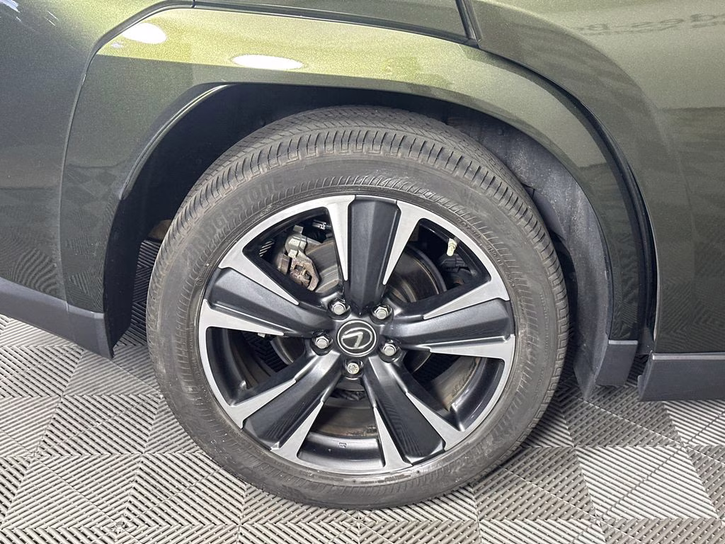 2024 Nori Green Pearl Lexus UX 250h Premium AWD SUV
