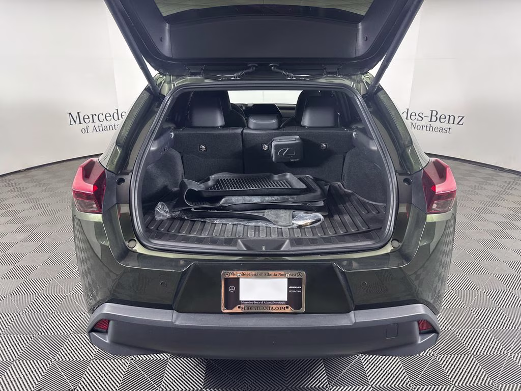 2024 Nori Green Pearl Lexus UX 250h Premium AWD SUV