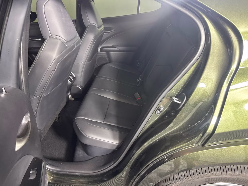 2024 Nori Green Pearl Lexus UX 250h Premium AWD SUV