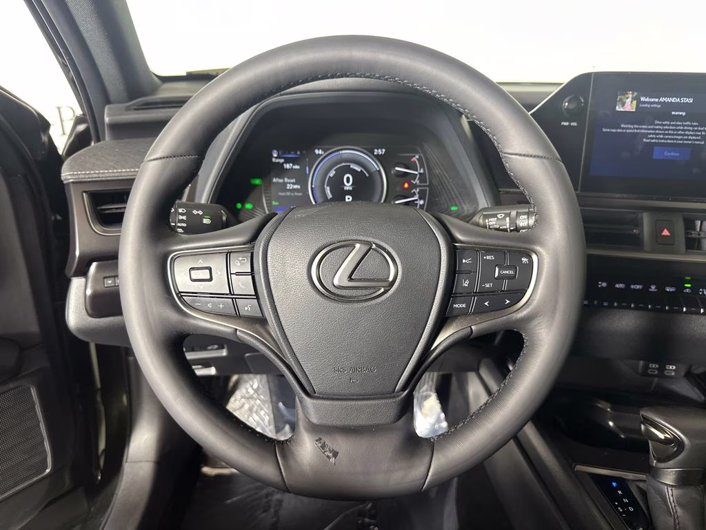 2024 Nori Green Pearl Lexus UX 250h Premium AWD SUV