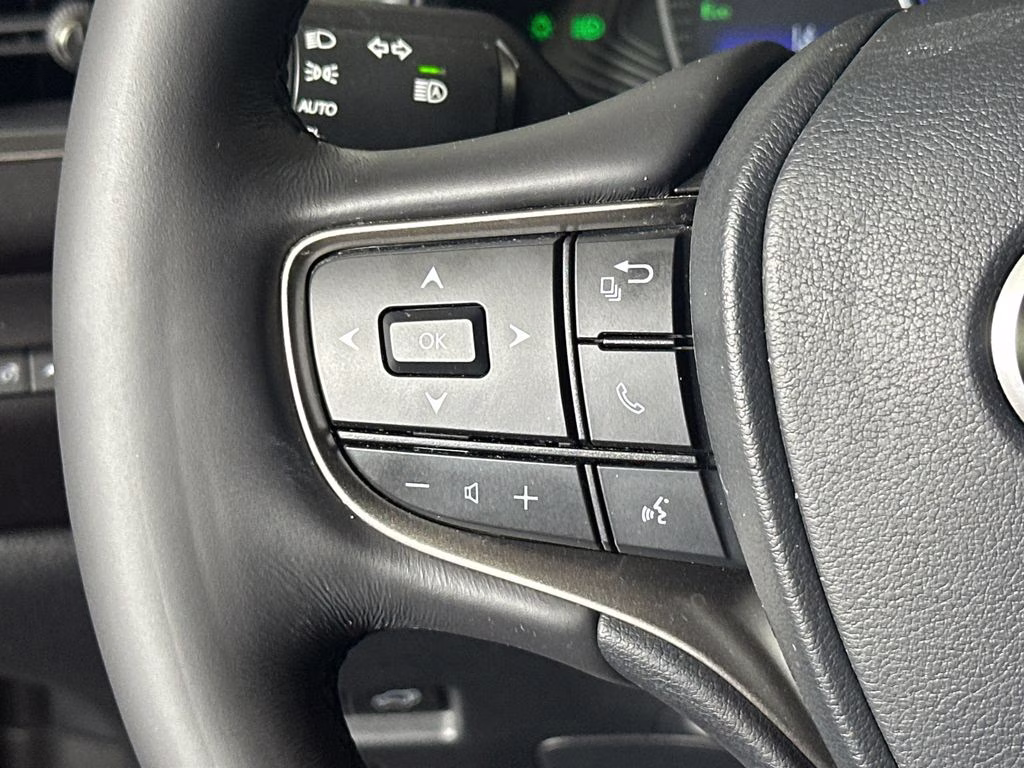 2024 Nori Green Pearl Lexus UX 250h Premium AWD SUV