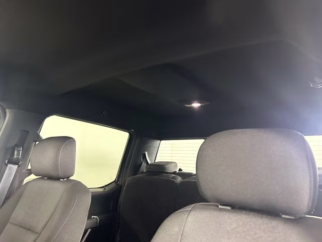 2019 Magnetic Ford F-150 XLT 4X4 Truck