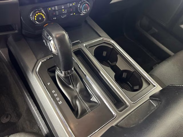 2019 Magnetic Ford F-150 XLT 4X4 Truck