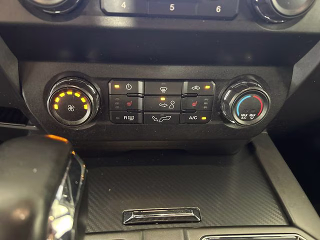 2019 Magnetic Ford F-150 XLT 4X4 Truck