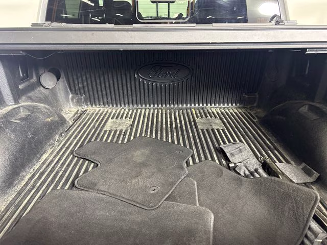 2019 Magnetic Ford F-150 XLT 4X4 Truck