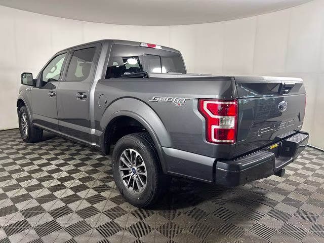 2019 Magnetic Ford F-150 XLT 4X4 Truck