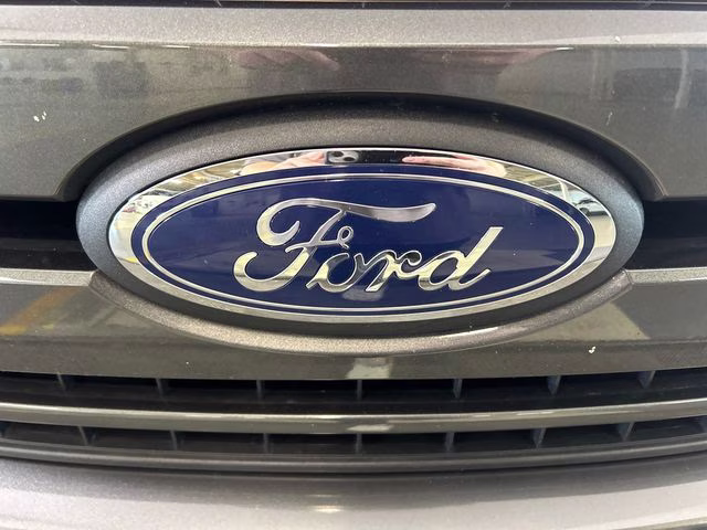 2019 Magnetic Ford F-150 XLT 4X4 Truck