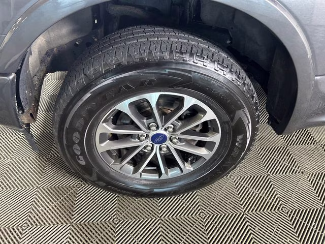 2019 Magnetic Ford F-150 XLT 4X4 Truck