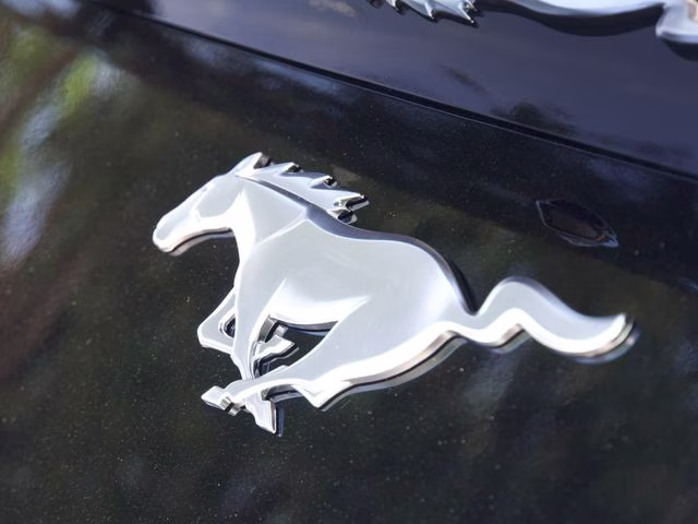 2026 Shadow Black Ford Mustang EcoBoost RWD Coupe