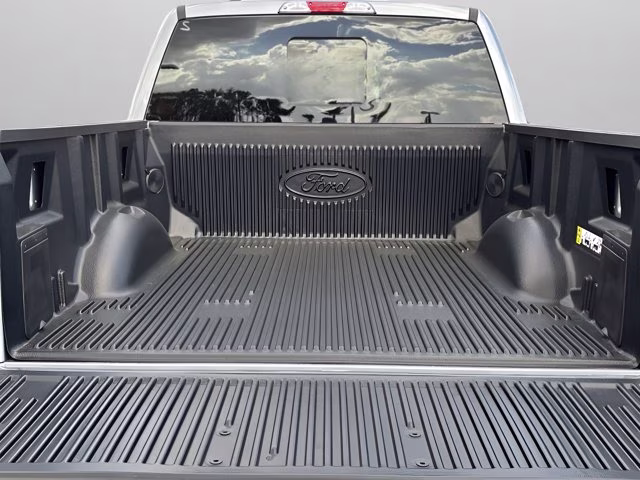 2025 Silver Metallic Ford F-150 XLT RWD Truck